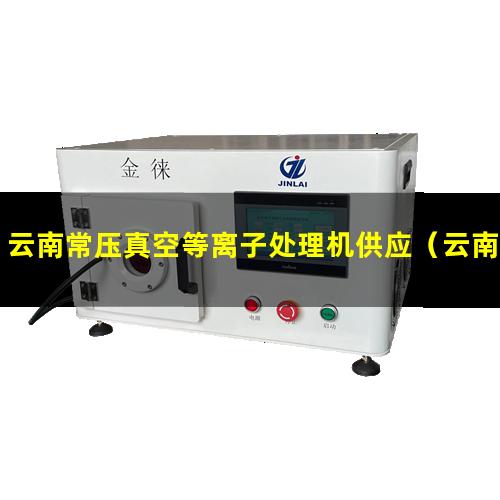 云南常压真空等离子处理机供应