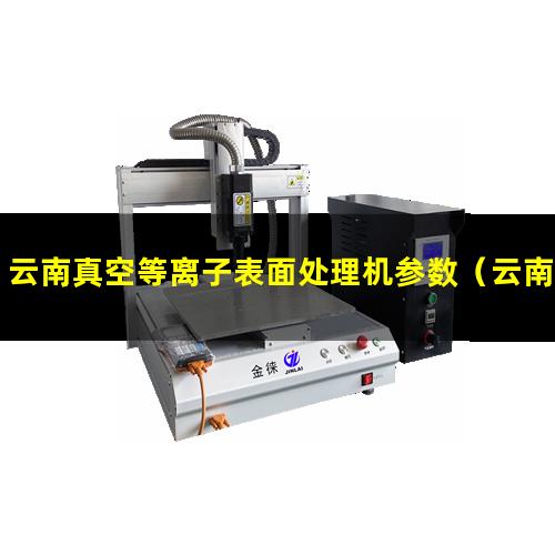 云南真空等离子表面处理机参数