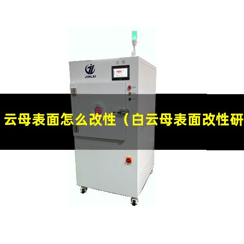 云母表面怎么改性（白云母表面改性研究）