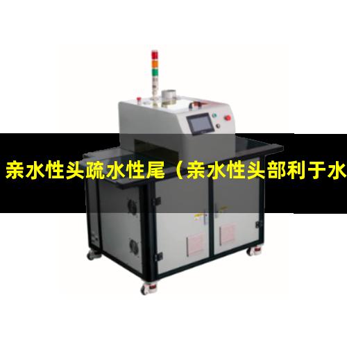 亲水性头疏水性尾（亲水性头部利于水进入吗）