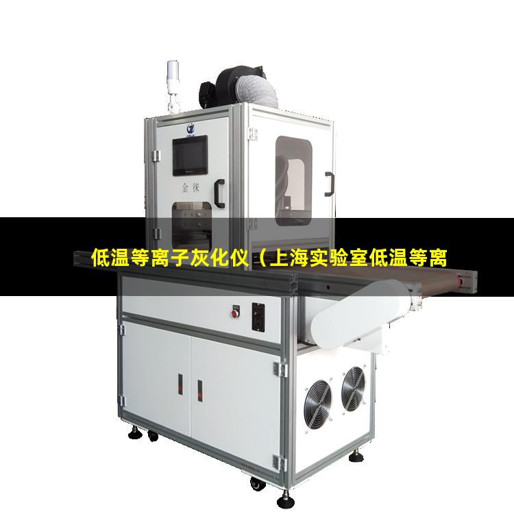低温等离子灰化仪（上海实验室低温等离子表面处理机厂家直销）