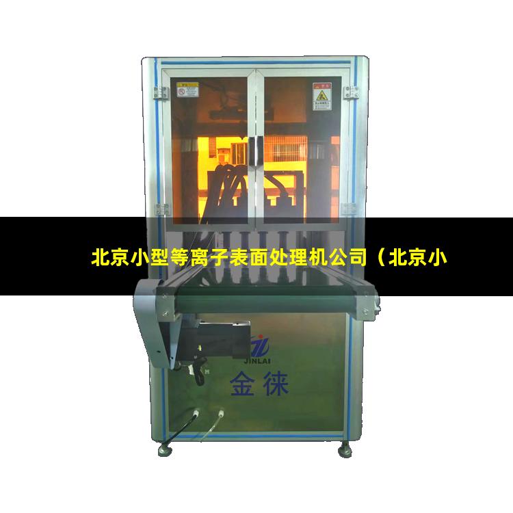 北京小型等离子表面处理机公司（北京小型真空等离子清洗机原理图）