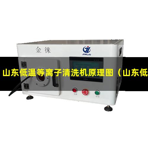 山东低温等离子清洗机原理图
