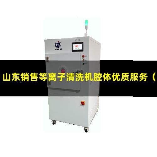 山东销售等离子清洗机腔体优质服务（山东销售等离子清洗机腔体生产厂商）