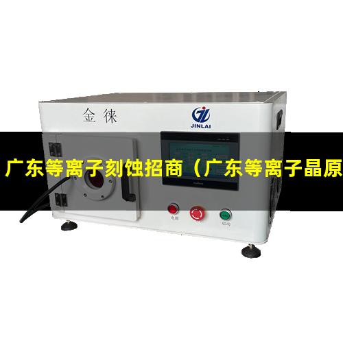 广东等离子刻蚀招商