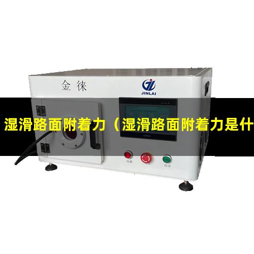 湿滑路面附着力（湿滑路面附着力是什么变化）