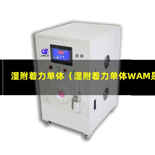湿附着力单体（湿附着力单体WAM是什么）UMA湿附着力单体