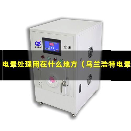 电晕处理用在什么地方（乌兰浩特电晕处理pet批发）