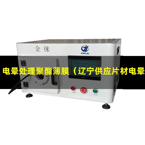电晕处理聚酯薄膜（辽宁供应片材电晕处理机厂家）