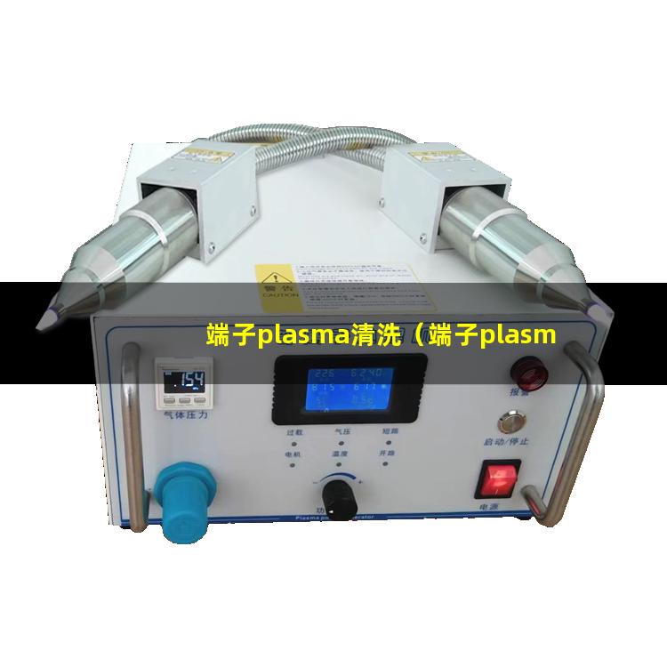 端子plasma清洗（端子plasma清洗机器）