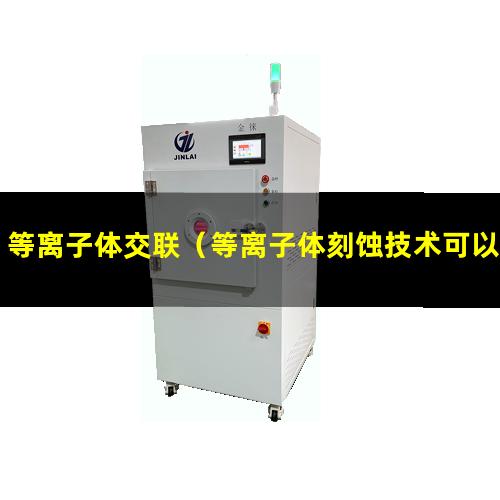 等离子体交联（等离子体刻蚀技术可以对超大规模集成电路进行加工）