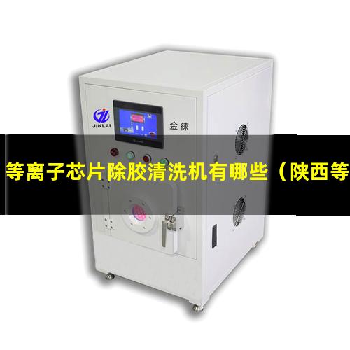 等离子芯片除胶清洗机有哪些（陕西等离子芯片除胶清洗机批发）