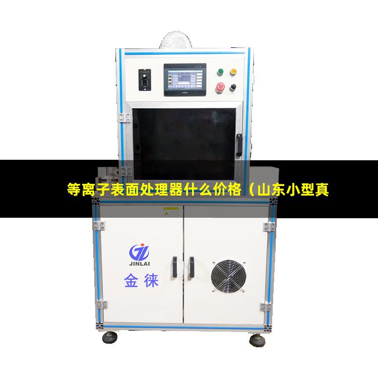 等离子表面处理器什么价格（山东小型真空等离子表面处理机找哪家）