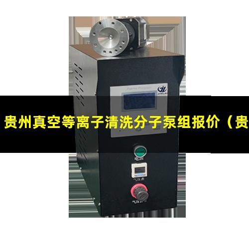 贵州真空等离子清洗分子泵组报价