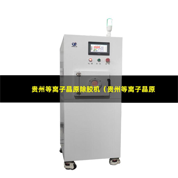 贵州等离子晶原除胶机（贵州等离子晶原除胶机多少钱一台）