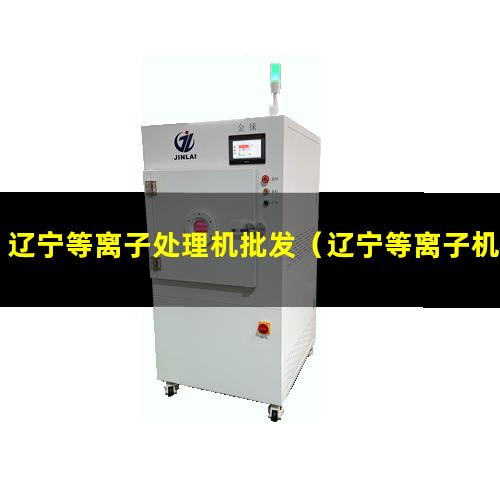 辽宁等离子处理机批发（辽宁等离子机场跑道除胶机品牌）